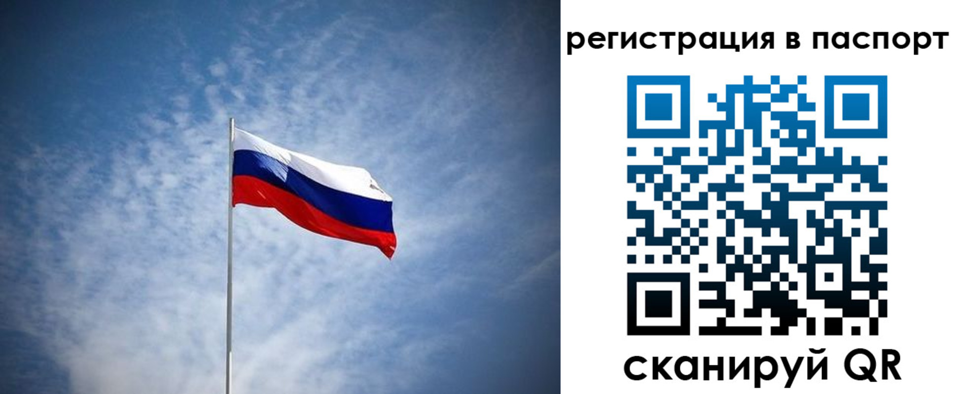 прописка гарантия в Севастополе